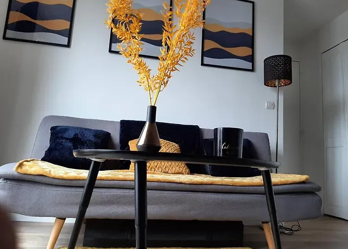 Superbe Appartement Cosy A 80 Metres De La Plage !